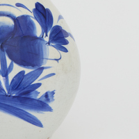 Blue-and-White Porcelain: Variable Condition Contour Separation Detail View