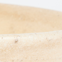 Ido Chawan: Control Condition Rim Detail View